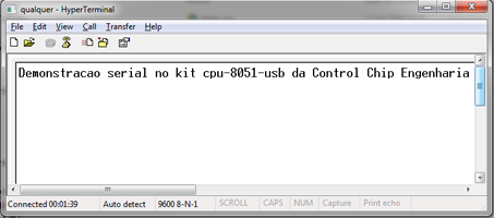 imagem do programa em execução
